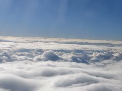 -朱儿面庄(洋河三路店)