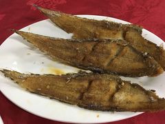 -蛇口康乐快餐鱼仔档(翠苑小区店)