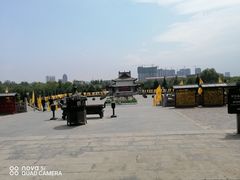 -大槐树寻根祭祖园