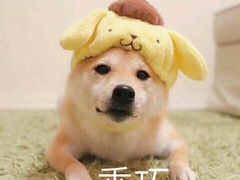 -广州保龄球馆(广州天河体育中心店)