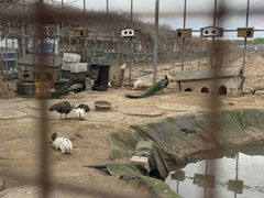 -河北村民俗体验园