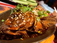 铁板鲫鱼-寂寞的豆芽(西大望南路店)