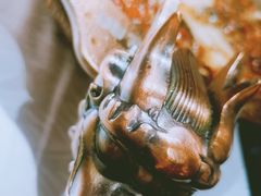 -雲蜀龙阁·金牌水煮鱼(方庄店)