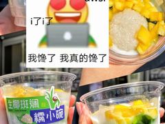 生椰斑斓糯小碗-奈雪的茶(振华商厦店)