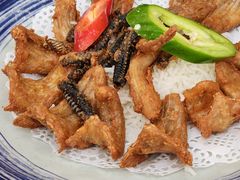 -轩记海鲜餐厅·四十五年老字号·经典粤菜(西区彩虹店)