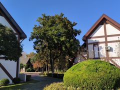 -太阳岛度假酒店