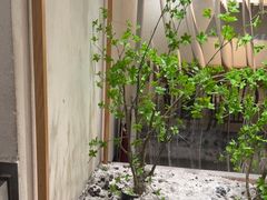 -喜茶(广州保利中环店)
