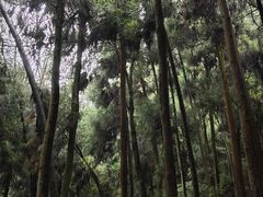 -青城山