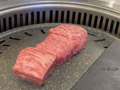 -黄金牧场(明洞总店)