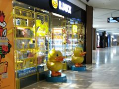 -三亚湾红树林度假世界(木棉酒店)
