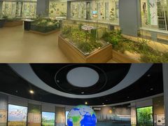-同里国家湿地公园