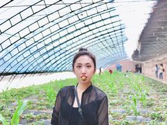 -甜心庄园·甜心草莓采摘园(西青中北店)