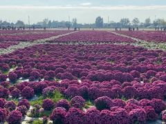 -中国天府农业博览园