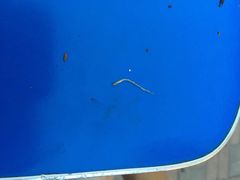 乾毓德平价海鲜烧烤城-天津乾毓德饭庄·清真传统炒菜·海鲜烧烤(咸阳路店)