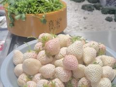 -喜家自助小火锅(乐客城店)