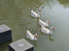 -杭州师范大学(下沙校区)