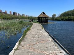 -前关湿地公园
