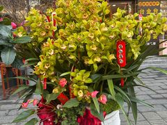 -溪岸路花鸟市场