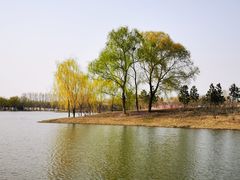 -东郊湿地公园