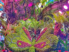 -正佳雨林生态植物园