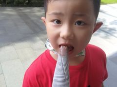 -上海中心大厦