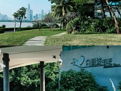 -宝安西湾红树林湿地公园