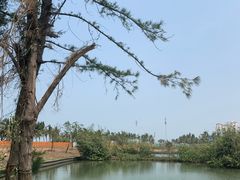-白沙门生态公园