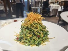 巧拌豆苗-四季民福烤鸭店(王府井灯市口店)