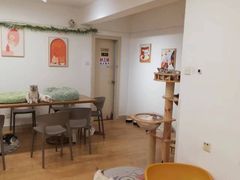 -有喵·猫咖·狗咖·30几只猫10只小狗(岗厦店)