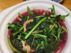 -顺承小院儿