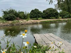 -御霞苑泥烩鸡休闲农庄