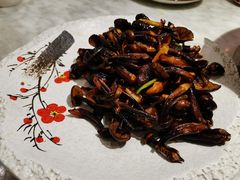 -马头巷·食景园(苏州总店)