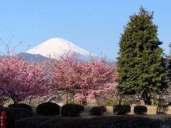 -黑龙江省森林植物园