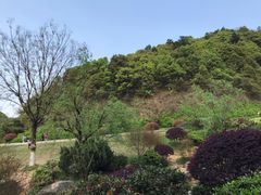 -桃花岭景区