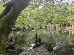 -海口火山口国家地质公园