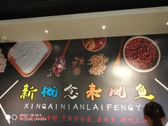 -新概念来凤鱼(璧山店)
