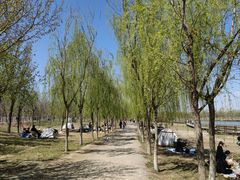 -西青郊野公园