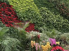 -石家庄市植物园