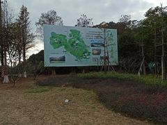 -东莞市大岭山森林公园