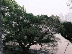 -江心屿景区