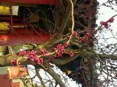 -骏途旅游