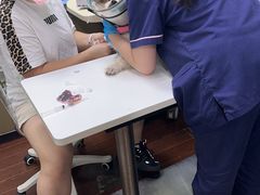 -宠物星动物医院·眼科·异宠·猫科(江南大道总院)