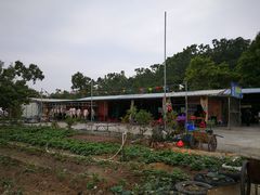 门面-钟叔烩鸡