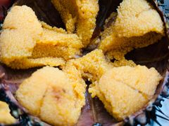 -海胆小馆(东北水饺·春柳店)