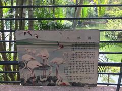 景点-九龙公园