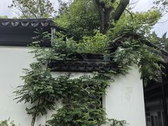 -苏州文庙(姑苏区)