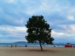 -青岛第一海水浴场