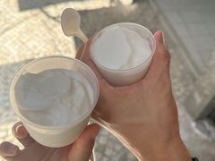-洪馨椰子