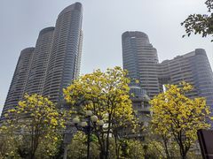 -洲头咀公园