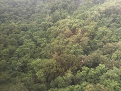 -崂山巨峰游览区